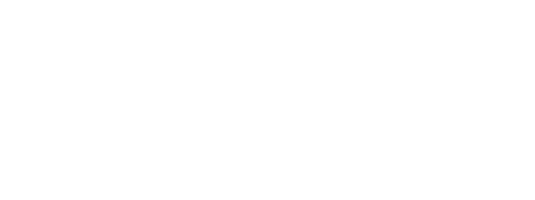 RoomScan
